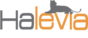 HALEVIA ליווי ויעוץ משכנתאות | ביטוח ופיננסים